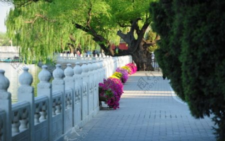 北京北海公园西岸图片
