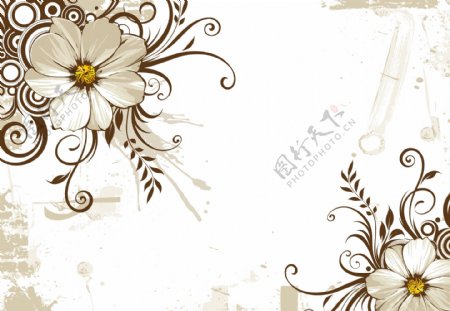 菊花底纹边框背景图片