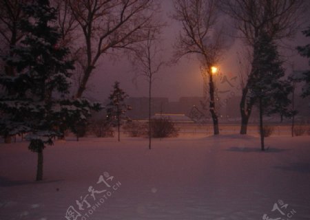 雪地朝阳图片
