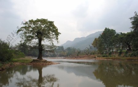 柳江风景图片