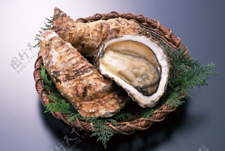 海鲜生蚝贝壳海鲜食材图片