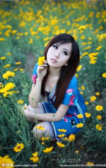 野菊花丛中的美女图片