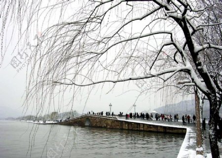 杭州西湖断桥雪景图片