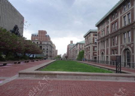 哥伦比亚大学校园图片