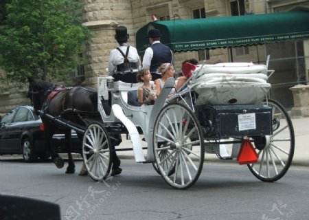 芝加哥街头上的马车图片