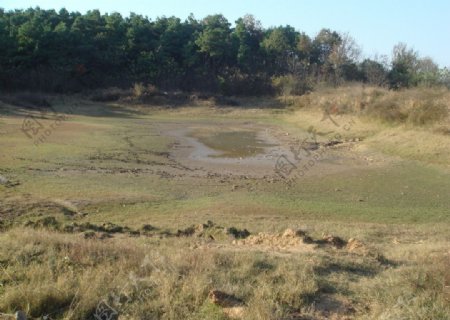 干涸的水塘图片