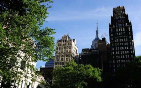 纽约曼哈顿第五大道中央公园周围高楼图片