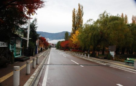 芦之湖街道图片