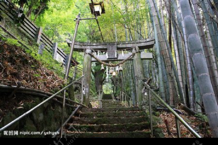 日本福冈神社图片