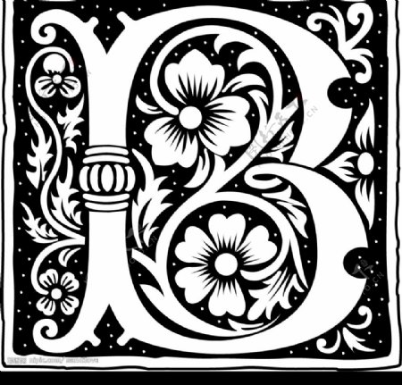 欧美古典花纹字母式样5图片