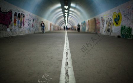 厦大芙蓉隧道图片