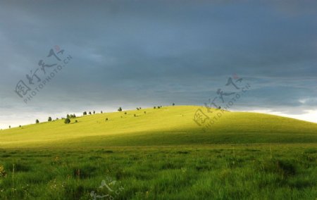 乌兰布统草原风光图片