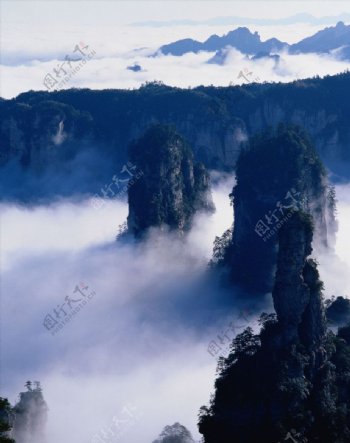 雾境图片