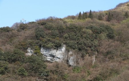 高山草甸图片