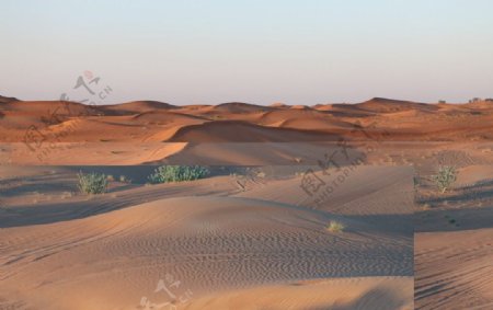 沙漠沙浪沙丘图片