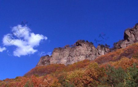 红叶山崖图片