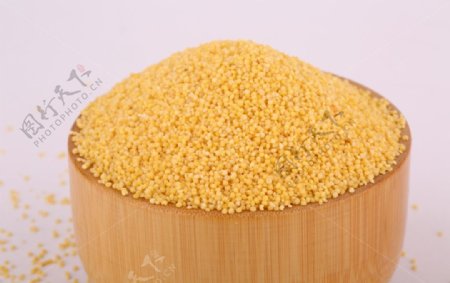 五谷杂粮系列小米黄米摄影图图片