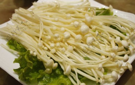 金针菇生菜火锅原料图片