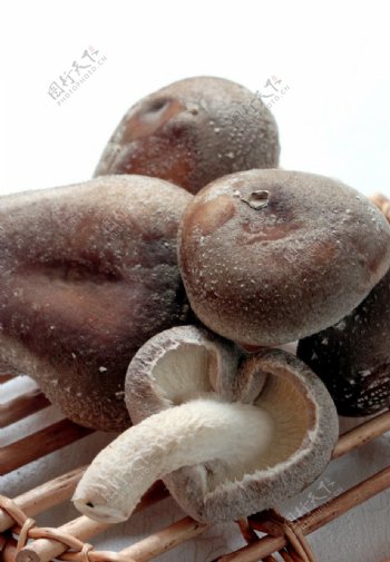 鲜蘑菇图片