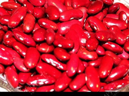 红芸豆背景图片