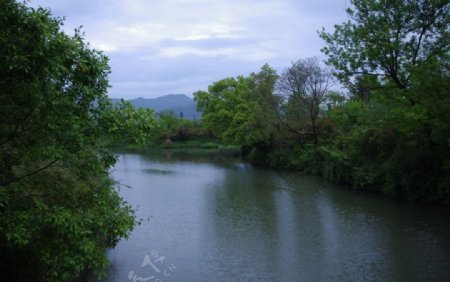 西溪湿地植物园图片