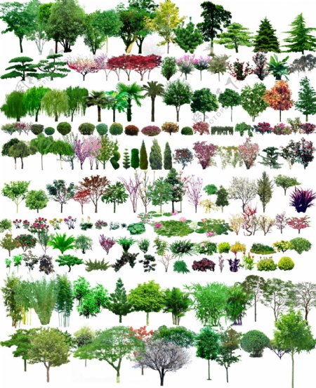 树园林PSD分图层图片