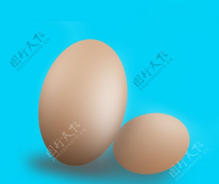 手绘鸡蛋图片