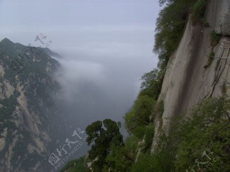 华山大雾图片