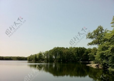 湖畔树影图片