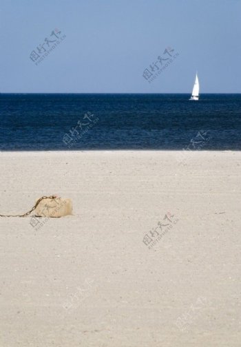 沙滩海岸帆船图片