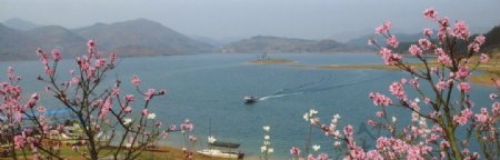 金桂湖图片