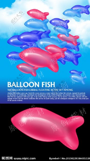 气球鱼图片