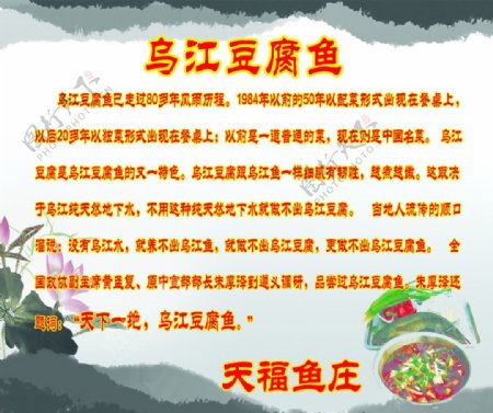 乌江豆腐鱼图片
