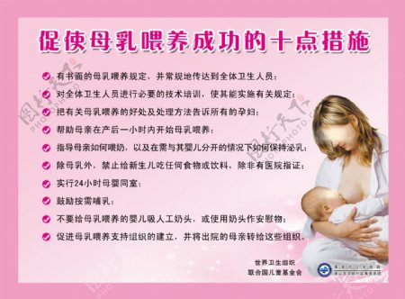 母乳喂养成功的十点措施图片
