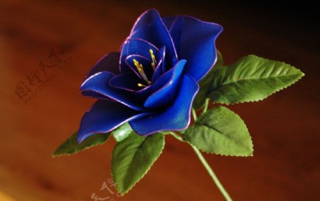 手工绢花蓝色玫瑰图片