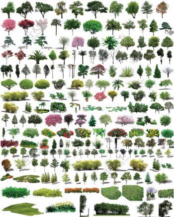 园林树木草地图片