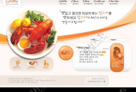 韩国网页设计食品虾清闲淡雅风格图片