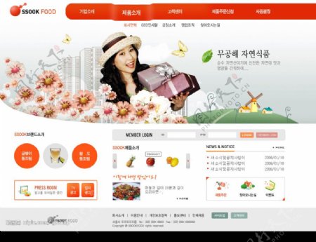 韩国美食生活网站网页模板图片