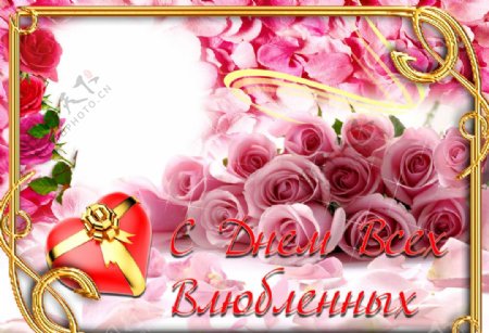 浪漫情人节玫瑰花背景照片模板图片