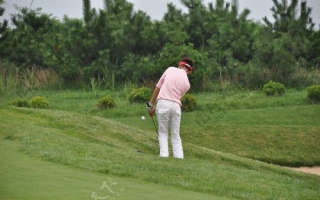 高尔夫打球瞬间图片