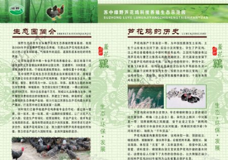 生态园简介芦花鸡的历史图片