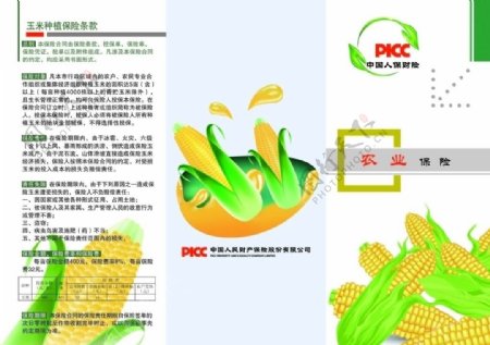 玉米农业保险彩页图片