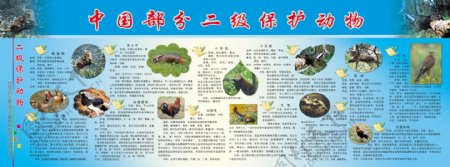 中国二级保护动物图片