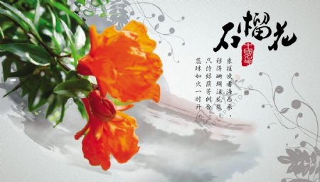 中国名花之石榴花图片