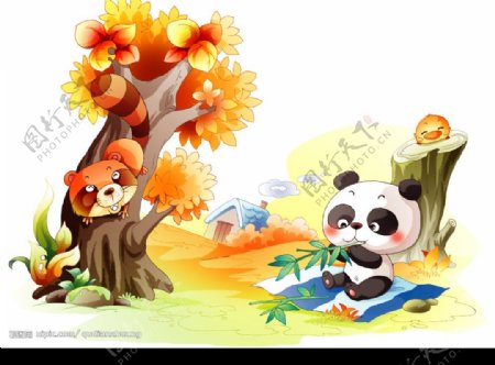 小熊猫是大熊猫生的图片