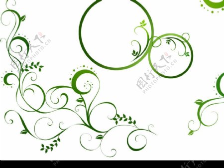绿色花藤花纹图片