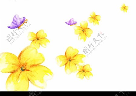 花朵水彩画图片