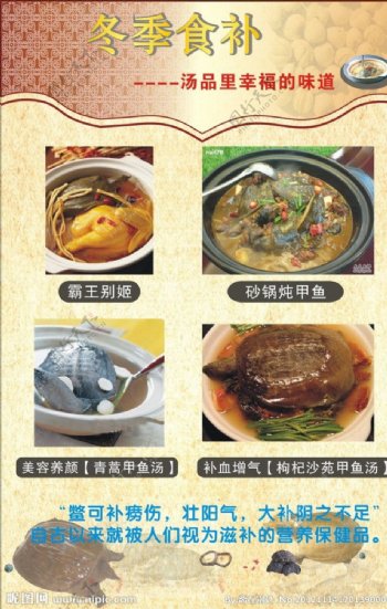 中华鳖甲鱼宣传单图片
