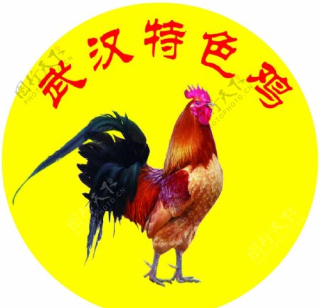 武汉特色鸡图片