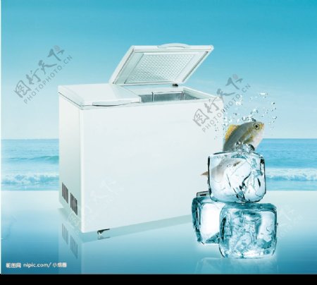 形象广告冷柜鱼图片